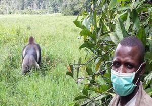 تطور خطير.. كورونا يضرب الحيوانات البرية