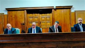 "طعنوه في ضهره".. السجن 15 عاما لشقيقين بتهمة قتل سائق فى موقف بالدقهلية