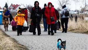 35 ألف لاجئ أوكراني وصلوا إلى إيطاليا حتى الآن