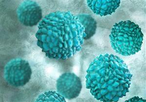 ما هو نوروفيروس الذي بدأ يتفشى في بريطانيا؟