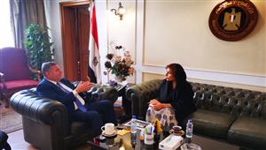 وزير قطاع الأعمال يطرح فرص الاستثمار في الشركات التابعة على سفيرة الإمارات