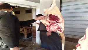 بالصور- ضبط طن لحوم فاسدة في حملة على محلات الجزارة بأسوان