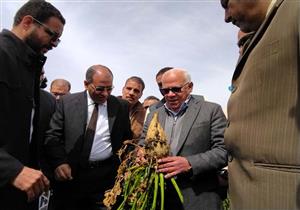 محافظ بورسعيد: تحويل 25 ألف فدان من الاستزراع السمكي إلى النباتي (صور)