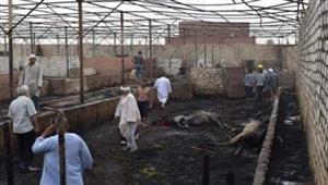 نفوق 10 رؤوس ماشية في حريق مزرعة بأبو النمرس