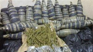 الأمن العام: ضبط 1351 قضية مخدرات بمضبوطات بلغت 152 مليون جنيه في أسبوع