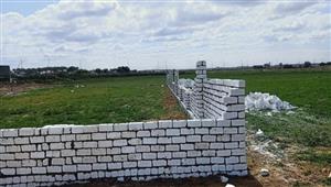 صور وأرقام.. إزالة 323 مخالفة على الأراضي الزراعية وأملاك الدولة في الإسكندرية