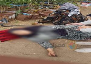 مصرع 4 وإصابة 10 جراء سقوط شجرة على سيارة عمال في الدقهلية