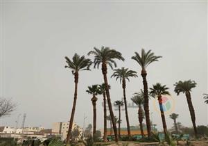  بالفيديو والصور- العاصفة الترابية تضرب الأقصر وتوقف الملاحة النهرية