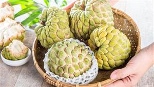 الكيلو بـ313 جنيها.. ما هي فاكهة الشيرمويا التي انتشرت في الأسواق؟