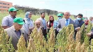 بالصور- جامعة المنوفية تحتفل بـ"يوم الحقل" من مزرعة الراهب بشبين الكوم