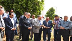 بالصور- محافظ قنا يطلق إشارة بدء حصاد موسم القمح من المراشدة 