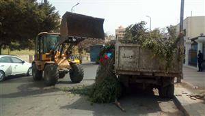 صور.. رفع 379 طن قمامة من شوارع الإسكندرية في يومين 