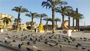 بالفيديو والصور.. هلال ومئذنة وحمائم تزين ميدان الشهداء ببورسعيد 