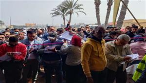 القوى العاملة تعلن فرص عمل جديدة للشباب بالإسكندرية