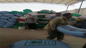 بالصور- توريد 31 طن قمح لمطحن الطارق بمدينة طور سيناء