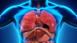 سلي صيامك| عضو بالجسم يكبر كلما تقدمنا في العمر.. لا تتوقعه