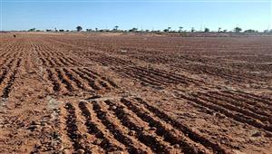 بعد ربع قرن.. كيف منح الرئيس السيسي قبلة الحياة لمشروع توشكى؟ (صور)