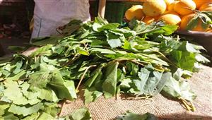 بعد انتشاره في الأسواق.. إزاي تفرق بين ورق العنب والتوت؟ (فيديو وصور)