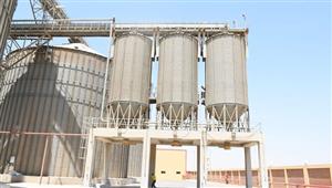 تموين كفر الشيخ: توريد 51 طن قمح إلى مواقع الاستلام - صور