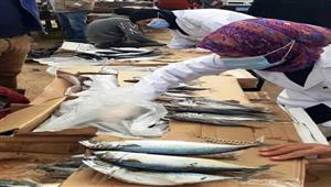 صور.. ضبط 10 أطنان لحوم وأسماك غير صالحة للاستهلاك الآدمي في الشرقية