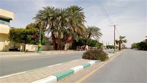 فيديو وصور.. طقس حار في ثاني أيام رمضان بالوادي الجديد 