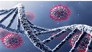كوريا الجنوبية تسجل أكثر 93 ألف إصابة بكورونا و203 وفيات
