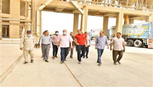 صور.. توريد 2129 طن قمح في صوامع وشون أسيوط