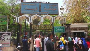 تعرف على الأسعار والتفاصيل.. 10 اختيارات ممتازة لقضاء إجازة العيد فى أسوان