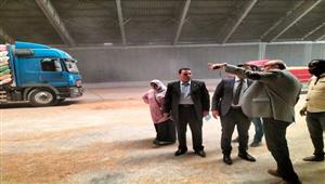 توريد أكثر من 6 آلاف طن قمح لصوامع التموين بالإسكندرية - صور 