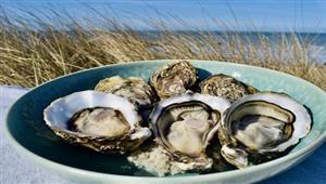 6 أطعمة تحسن الخصوبة لدى الرجال في الصيف.. تناولها باستمرار