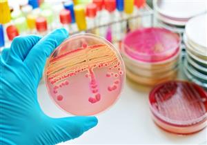 طبيب يحذر هؤلاء من العدوى القاتلة: 5 أعراض تكشف عنها