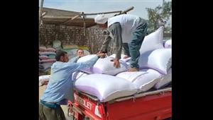 رقص وهيص وجمع محصوله.. عم فوزي يسلم القمح للشونة في البحيرة: الفدان جاب 25 أردب