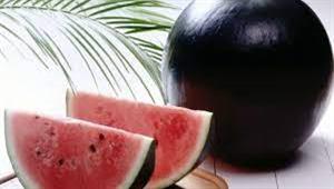 أغلى بطيخة في العالم.. سوداء وسعرها 106 آلاف جنيه