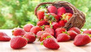 تقي من السرطان.. 5 فوائد لتناول الفراولة -  و٤ فئات ممنوعة منها