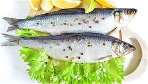  يهدد صحتك.. طبيب يحذر من تناول مشروب شهير بعد الفسيخ والرنجة