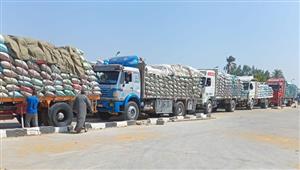 بالصور- توريد 115 ألف طن قمح للشون والصوامع في بني سويف 