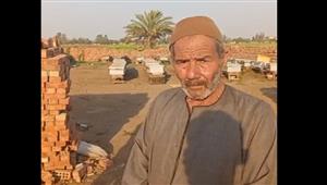 نحلة تقتل سيدة في المنوفية.. شاهد عيان يروي تفاصيل الواقعة - فيديو