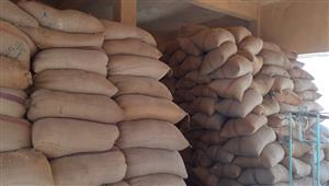 غرفة الحبوب: خطوات الحكومة الاستباقية رفعت مخزون القمح رغم الأزمة العالمية