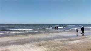 "راكيت وخيل وبيتش باجي".. مواطنون يستمتعون بـ"الويك إند" على شواطئ بورسعيد - فيديو وصور