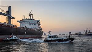 وصول 1348 رأس ماشية لميناء دمياط