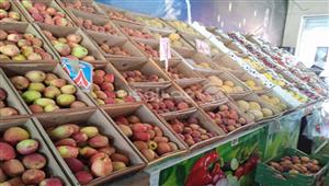 العنب بـ6 جنيهات والبامية بـ20.. تعرف على أسعار الخضار والفاكهة في السويس - فيديو