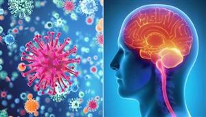 تهيج سحايا المخ ضربة شمس أم ضربة حرارية؟