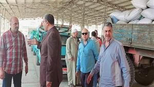 بالصور- توريد 1199 طن قمح للشون والصوامع الحكومية في بورسعيد