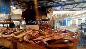 تراجع البوري وقفزة الكابوريا.. أسعار السمك اليوم في سوق العبور