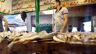 ارتفاع البلطي.. أسعار الأسماك والمأكولات البحرية في سوق العبور اليوم