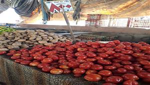 الطماطم بـ8 والخيار بـ 7 أسعار الخضار في سوق وسط البلد ببنها