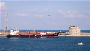 تداول 75 ألف طن حبوب بميناء دمياط