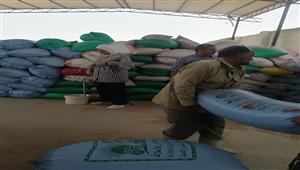 توريد 40 طن قمح إلى شون الطارق في طور سيناء