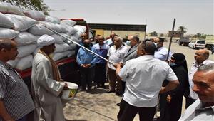 فيديو| الذهب الأصفر يتدفق في أسيوط.. جولة داخل صوامع القمح