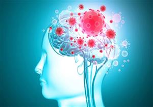 يسبب التهاب الدماغ.. تحذير من فيروس نادر بألمانيا